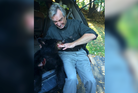 RFK Jr is seen next to a dead bear cub. He has now revealed he left the dead corpse of a bear in Central Park in 2014